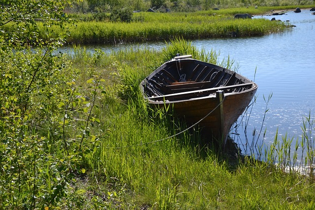 fishing