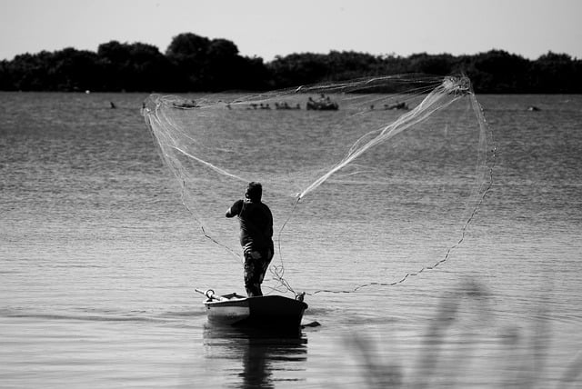 fishing