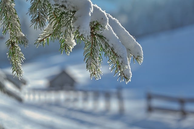 winter fishing